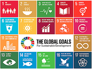 Global Goals Logo